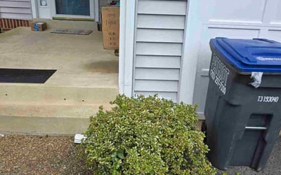 Photo of Stephanie D.'s yard after getting tree care in Centreville, VA