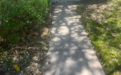 Photo of Jose A.'s yard after getting landscaping in Columbia, MD