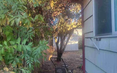 Photo of Sally M.'s yard after getting landscaping in Saint Helens, OR