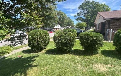 Photo of James w.'s yard after getting landscaping in Chesapeake, VA