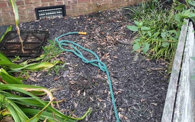 Photo of Jennifer N.'s yard after getting landscaping in Laurens, SC