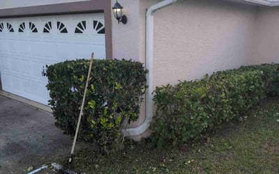 Photo of Elizabeth K.'s yard after getting landscaping in Palm Coast, FL