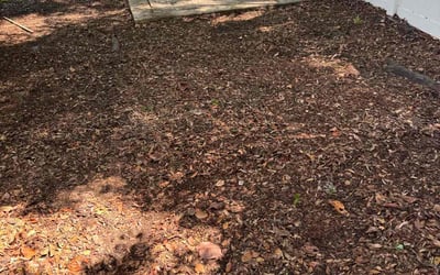 Photo of Anthony G.'s yard after getting landscaping in Orlando, FL