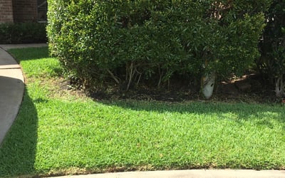 Photo of Ellen A.'s yard after getting landscaping in North Houston, TX