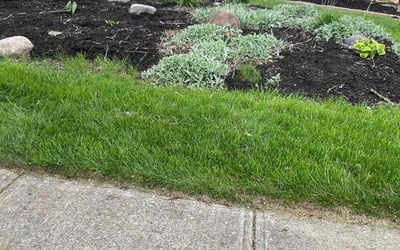 Photo of Linda F.'s yard after getting landscaping in London, OH