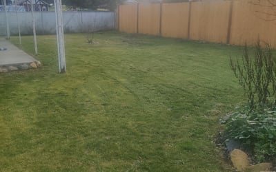 Photo of Maggie M.'s yard after getting landscaping in Eatonville, WA