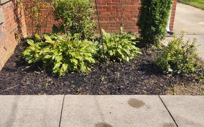 Photo of Deb M.'s yard after getting landscaping in New Midway, MD