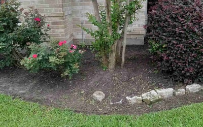 Photo of Mike B.'s yard after getting landscaping in Industry, TX