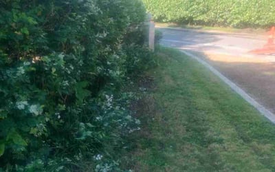 Photo of Thomas R.'s yard after getting lawn care in Boca Raton, FL