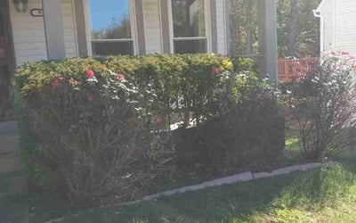 Photo of Jim_Carla A.'s yard after getting landscaping in Sperryville, VA