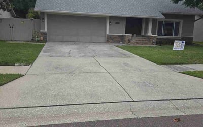 Photo of Monica R.'s yard after getting landscaping in Palm Harbor, FL