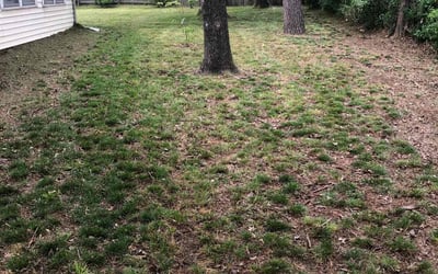Photo of Valerie S.'s yard after getting landscaping in Skiatook, OK
