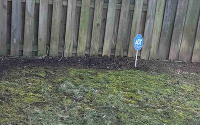 Photo of Barbara B.'s yard after getting landscaping in Port Republic, MD