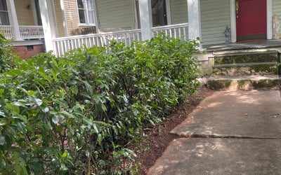 Photo of Evelyn C.'s yard after getting landscaping in Franklin, GA