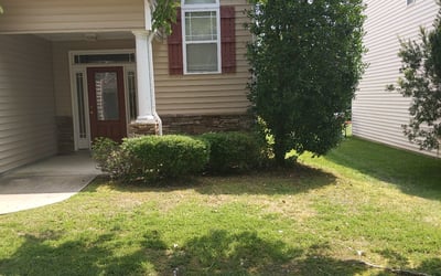 Photo of Shirley B.'s yard after getting landscaping in Benson, NC