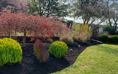 Photo of Tracy K.'s yard after getting landscaping in Rescue, VA