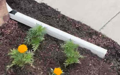 Photo of Stephanie S.'s yard after getting tree care in Clarkston, MI