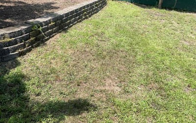 Photo of Tony D.'s yard after getting landscaping in Locust Valley, NY