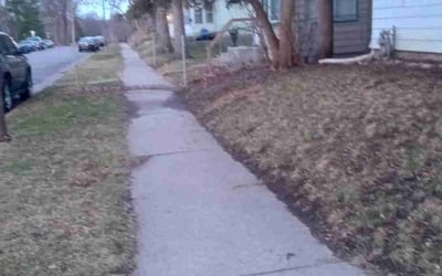 Photo of Krista D.'s yard after getting landscaping in Hamel, MN