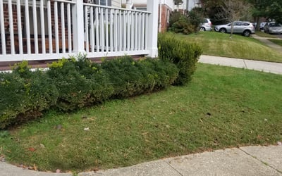 Photo of Chinh O.'s yard after getting landscaping in Barnesville, MD