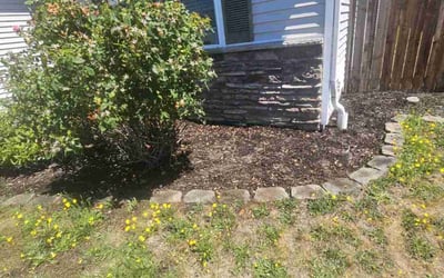 Photo of Margaret I.'s yard after getting tree care in Tacoma, WA