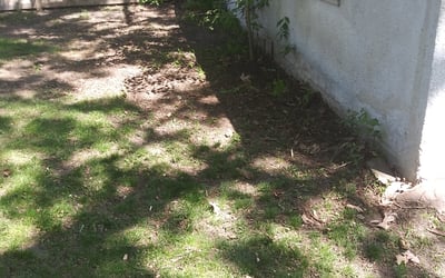 Photo of Benjamin W.'s yard after getting landscaping in Jordan, MN