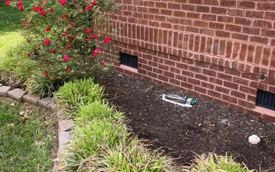 Photo of Amber G.'s yard after getting landscaping in Gates, NC