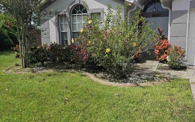Photo of Terry L.'s yard after getting landscaping in Saint Cloud, FL