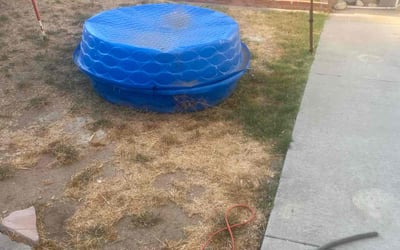 Photo of Megan D.'s yard after getting landscaping in Warner Springs, CA