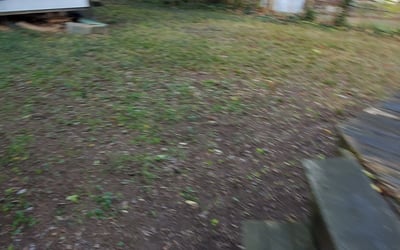 Photo of Jason A.'s yard after getting landscaping in Glen Echo, MD