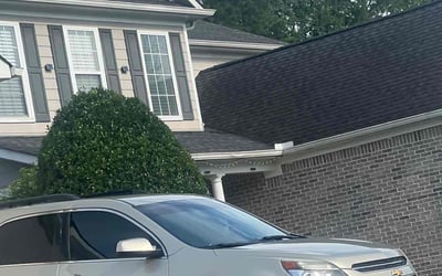 Photo of Ceray D.'s yard after getting tree care in Lithia Springs, GA