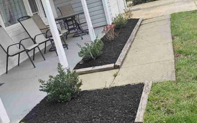 Photo of Sara H.'s yard after getting landscaping in Fairfax, VA