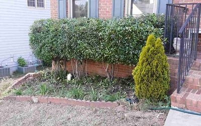 Photo of Max S.'s yard after getting landscaping in Lilburn, GA