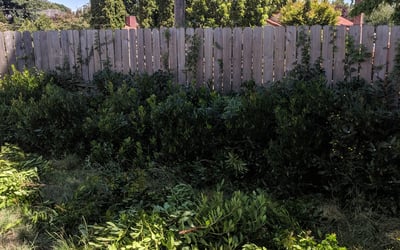 Photo of Alex S.'s yard after getting landscaping in Gold Bar, WA