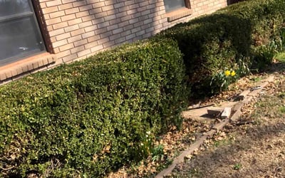Photo of Kelly T.'s yard after getting landscaping in Broken Arrow, OK