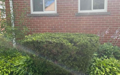 Photo of Kimberly J.'s yard after getting landscaping in Clarkston, MI
