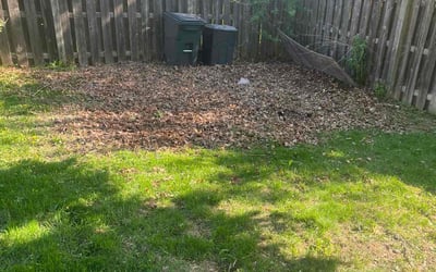 Photo of Thomas G.'s yard after getting landscaping in Omaha, NE