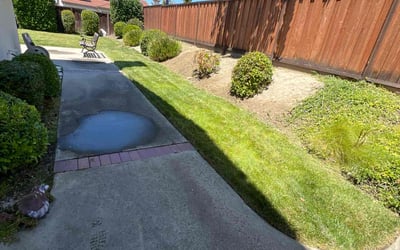 Photo of John C.'s yard after getting landscaping in San Pablo, CA
