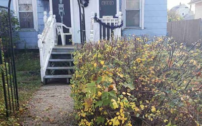Photo of Donna C.'s yard after getting landscaping in Big Lake, MN