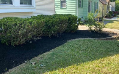 Photo of Darius D.'s yard after getting lawn care in Mentor, OH