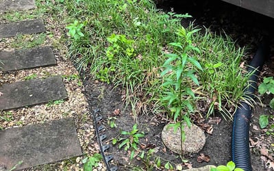 Photo of Liam W.'s yard after getting landscaping in Nashville, TN
