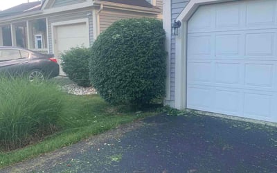 Photo of Kelly G.'s yard after getting landscaping in Thornville, OH
