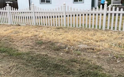Photo of Carol C.'s yard after getting landscaping in Emmett, ID