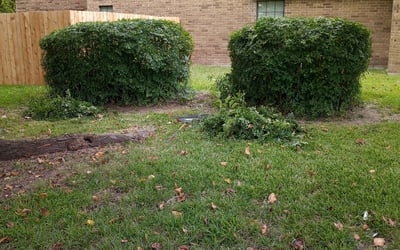 Photo of Michael L.'s yard after getting landscaping in Slidell, TX