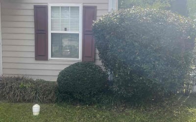 Photo of Louis P.'s yard after getting landscaping in Apex, NC