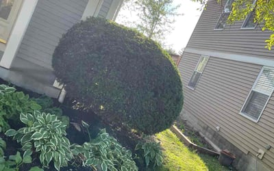 Photo of Kelly G.'s yard after getting landscaping in Cardington, OH