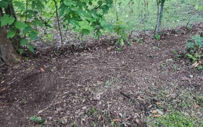 Photo of Amanda M.'s yard after getting landscaping in Lake Jackson, TX