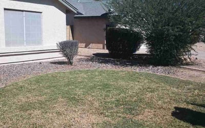Photo of Patricia K.'s yard after getting landscaping in Aguila, AZ