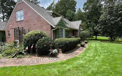 Photo of Kenneth H.'s yard after getting tree care in Monroe, GA