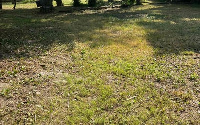 Photo of David S.'s yard after getting landscaping in Williamstown, NJ